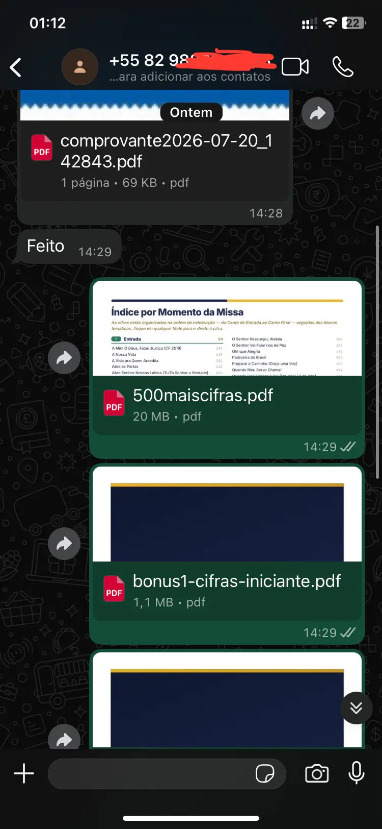 Cliente recebendo o material logo após o pagamento no WhatsApp